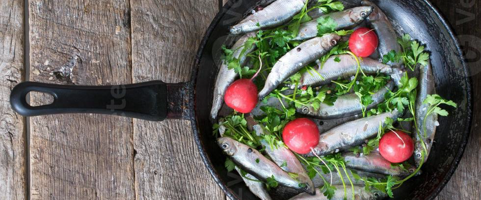 Pescados y Mariscos